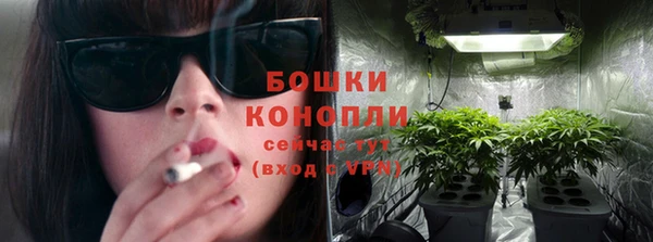 гашик Чекалин