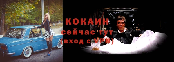 гашик Чекалин