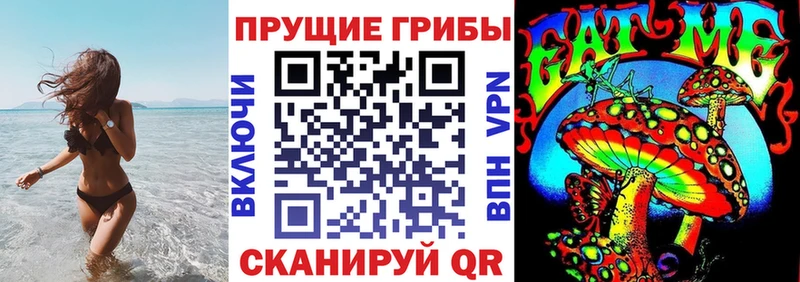 купить  цена  Щёкино  Галлюциногенные грибы мухоморы 